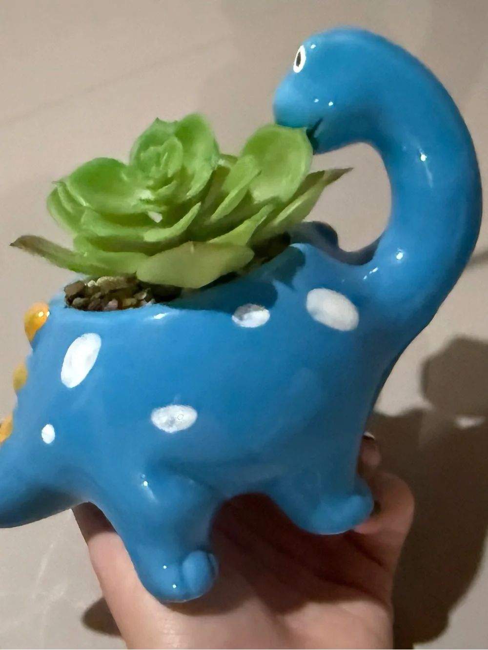 Blue Polka Dot Ceramic Dinosaur Planter with Green Succulent